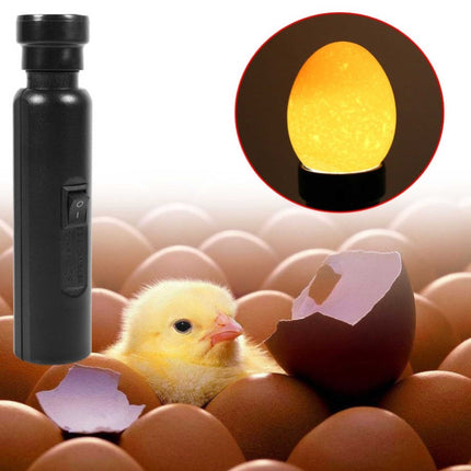 AU Plug Egg Candler Lamp - LED Cool Light Chicken Duck Quail Hatching Incubator.