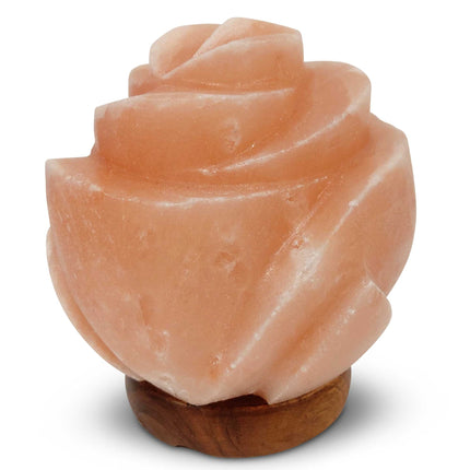 12V 12W Rose Himalayan Pink Salt Lamp Carved Flower Rock Crystal Light Bulb On/Off.