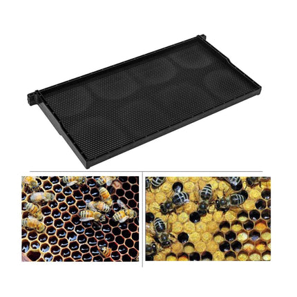 10x Beehive Plastic Frames Foundations Langstroth Bee Hive Deep Box Beekeeping.