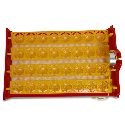 Rooster Farms Electric 32 Egg Incubator + Accessories for Chicken Quail Duck.