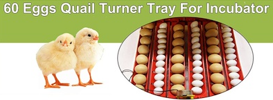 Rooster Farms Electric 60 Egg Incubator + Accessories for Chicken Quail Duck.