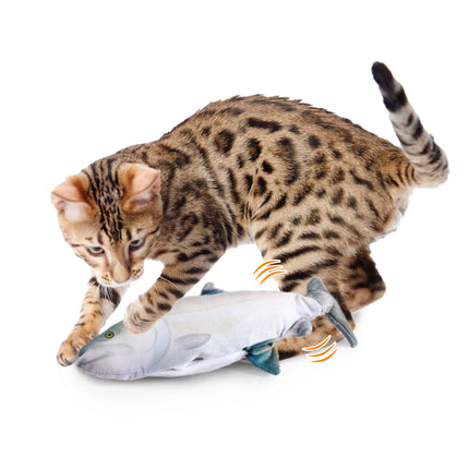 Pet Care Cartoz.