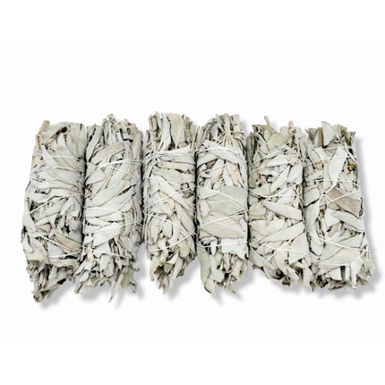 6x Californian White Sage Smudge Sticks Medium 13-15cm Incense Cleansing Bundle.