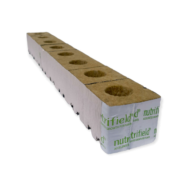 75x75x65mm Stonewool 8pk - Planting Propagation Growing Assist Block Nutrifield.