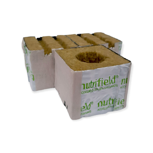 75x75x65mm Stonewool 8pk - Planting Propagation Growing Assist Block Nutrifield.