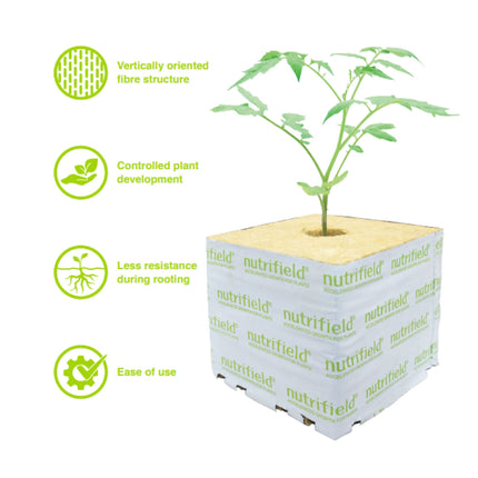 75x75x65mm Stonewool 8pk - Planting Propagation Growing Assist Block Nutrifield.