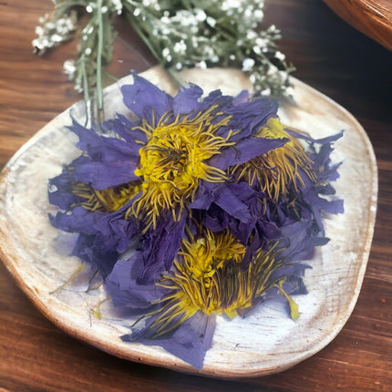 Orku 10g Dried Blue Lotus Flowers - Whole Open Lily Nymphaea Caerulea.