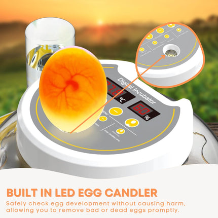 Automatic 8 / 18 Egg Incubator - Electrical Turning Chicken Quail Duck Hatching.