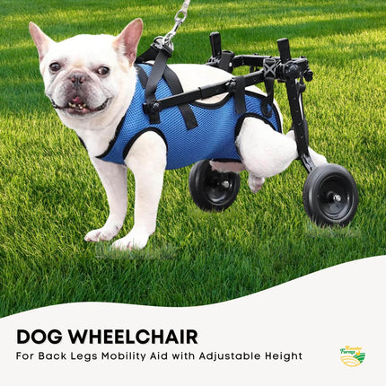 Pet Care Cartoz.