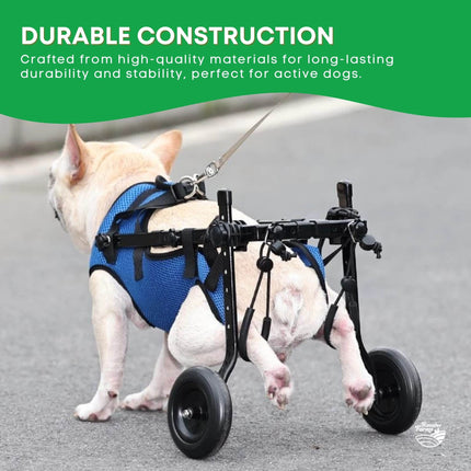 Pet Care Cartoz.