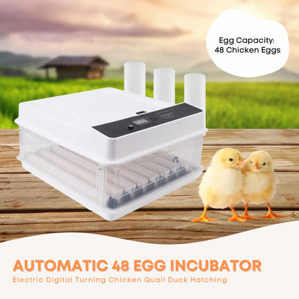Automatic 48 Egg Incubator - Electric Digital Turning Chicken Quail Duck Hatching.