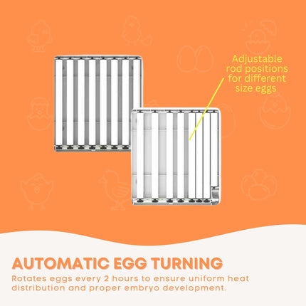 Automatic 48 Egg Incubator - Electric Digital Turning Chicken Quail Duck Hatching.