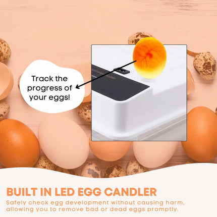Automatic 48 Egg Incubator - Electric Digital Turning Chicken Quail Duck Hatching.