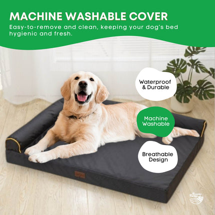 Pet Care Cartoz.