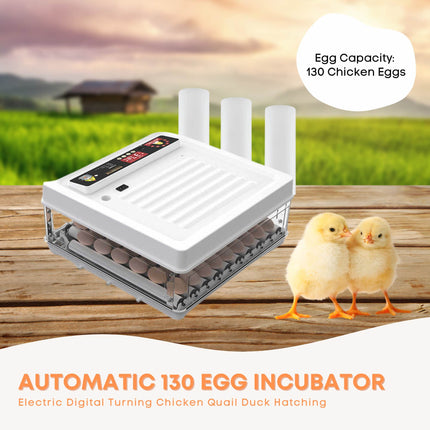 Automatic 130 Egg Incubator - Electric Digital Turning Chicken Quail Duck Hatching.