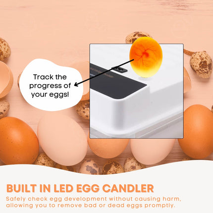 Automatic 130 Egg Incubator - Electric Digital Turning Chicken Quail Duck Hatching.