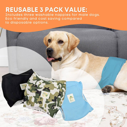 Rooster Farms Male Dog Diapers Small 3Pk - Washable Reusable Nappies Hook/Loop.