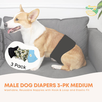 Rooster Farms Male Dog Diapers Medium 3Pk - Washable Reusable Nappies Hook/Loop.