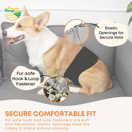 Rooster Farms Male Dog Diapers Large 3Pk - Washable Reusable Nappies Hook/Loop.