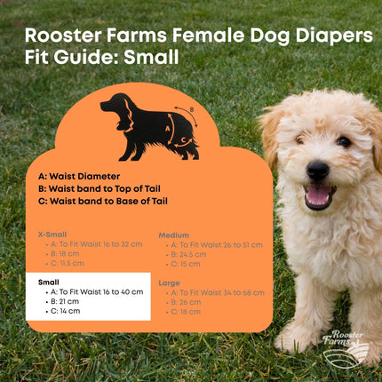 Rooster Farms Female Dog Diapers Small 3Pk - Washable Reusable Nappies Hook/Loop.