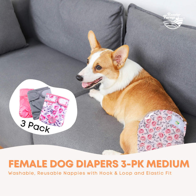 Rooster Farms Female Dog Diapers Medium 3Pk - Washable Reusable Nappy Hook/Loop.
