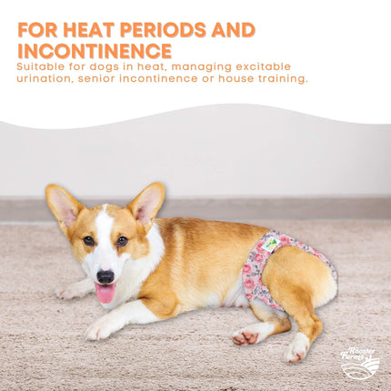Pet Care Cartoz.