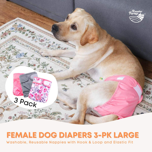 Rooster Farms Female Dog Diapers Large 3Pk - Washable Reusable Nappies Hook/Loop.