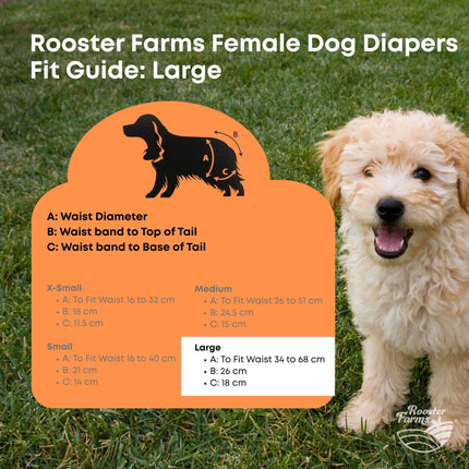 Rooster Farms Female Dog Diapers Large 3Pk - Washable Reusable Nappies Hook/Loop.