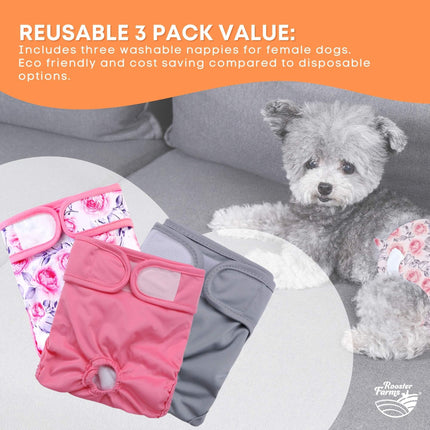 Rooster Farms Female Dog Diapers Large 3Pk - Washable Reusable Nappies Hook/Loop.