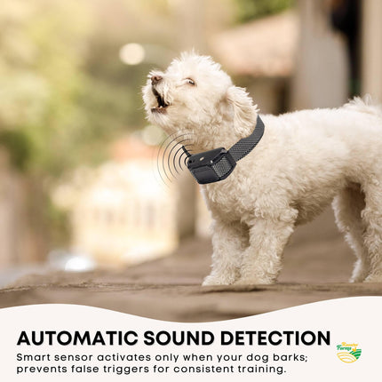 Rooster Farms Dog Bark Training Collar Citronella + Sound Rechargeable Automatic.