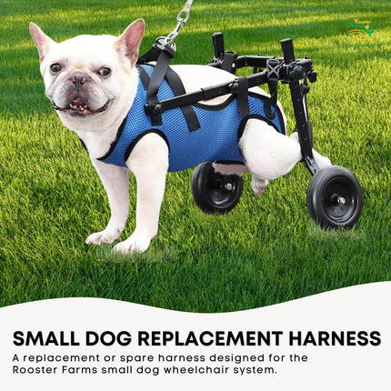 Pet Care Cartoz.