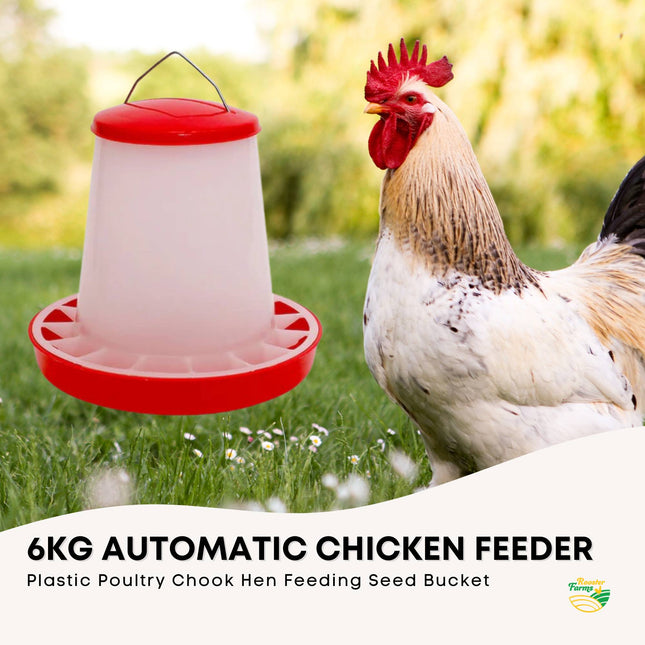 Rooster Farms 6Kg Automatic Chicken Feeder - Poultry Hen Feeding Seed Bucket.