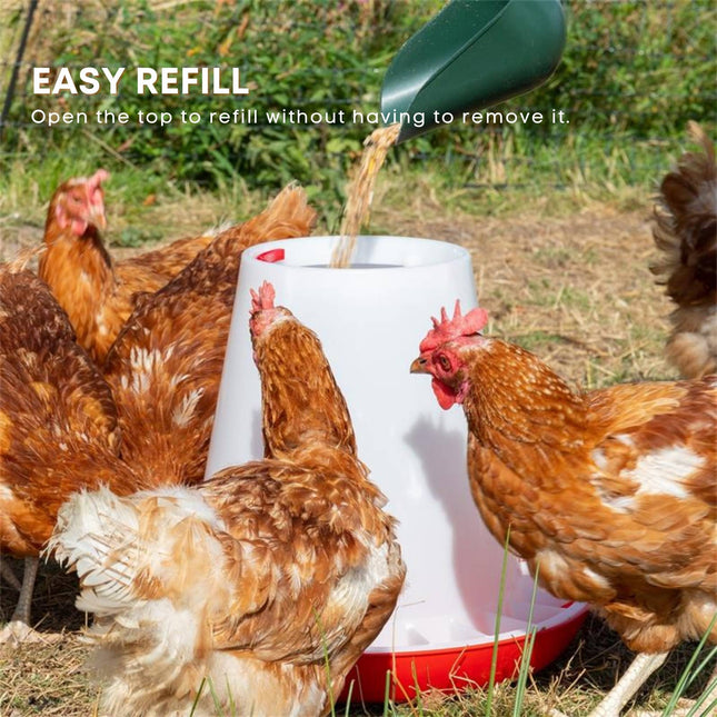 Rooster Farms 1.5Kg Automatic Chicken Feeder - Poultry Hen Feeding Seed Bucket.