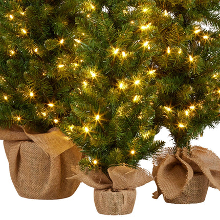 Christabelle Set of 3 Pre-Lit Christmas Trees Green Pine w/LED Lights, Hessian Base & Individual Plugs Varying Heights.