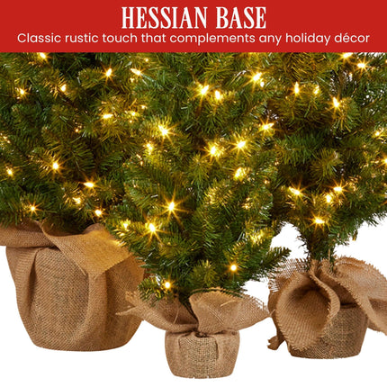 Christabelle Set of 3 Pre-Lit Christmas Trees Green Pine w/LED Lights, Hessian Base & Individual Plugs Varying Heights.