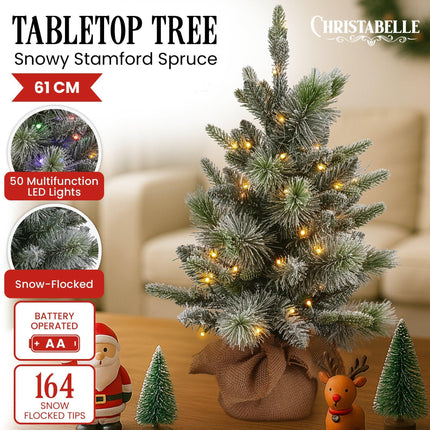 Christabelle 61cm Pre-Lit Snowy Stamford Spruce Battery-Operated Mini Christmas Tree Multi-Functional LED Timer.
