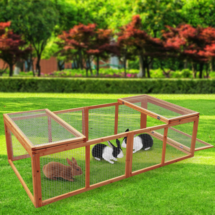 Pet Care Cartoz.