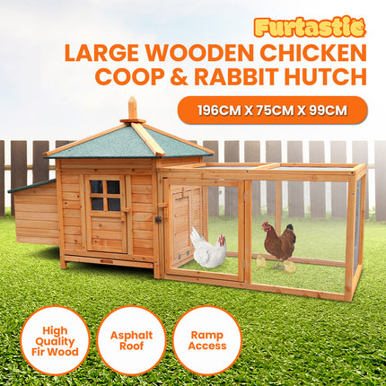 Pet Care Cartoz.