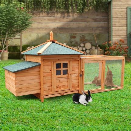 Pet Care Cartoz.