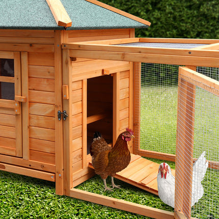 Pet Care Cartoz.