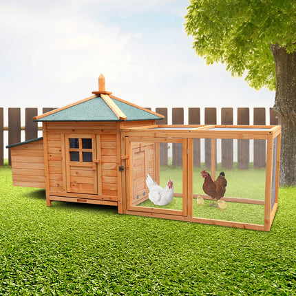 Pet Care Cartoz.