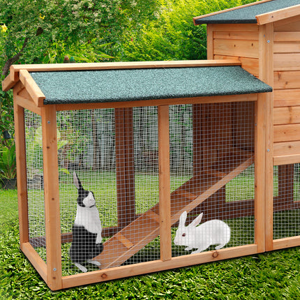 Pet Care.
