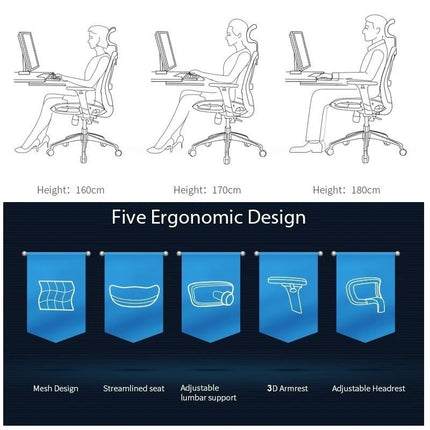 Furniture Cartoz.