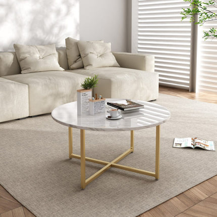 Furniture Cartoz.