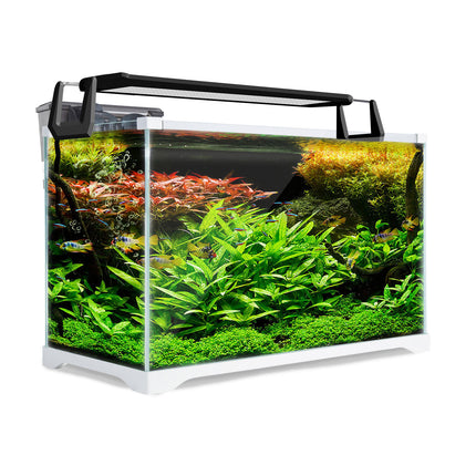Aquarium Starfire Glass Fish Tank Set Filter Pump 39L.