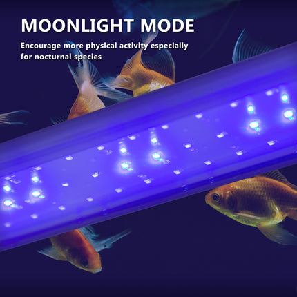 11W Aquarium Blue White LED Light for Tank 50-70cm.
