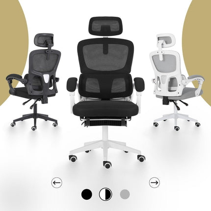 Furniture Cartoz.