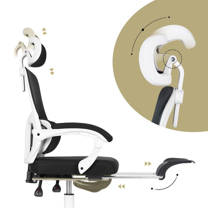 Furniture Cartoz.