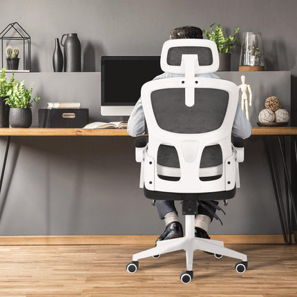 Furniture Cartoz.