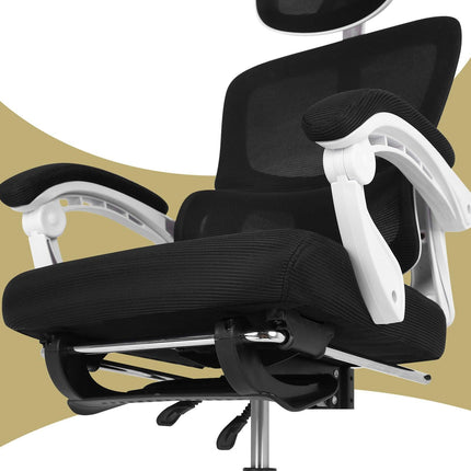 Furniture Cartoz.